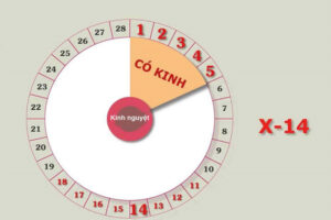 Chu kì kinh nguyệt
