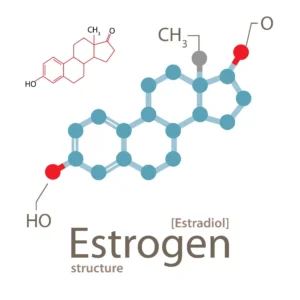 Nội tiết tố Estrogen