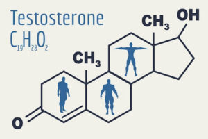 Testosterone